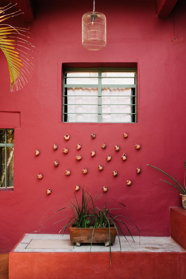 Boca Del Monte By Diablo Y La Sandia B&B Oaxaca Екстериор снимка
