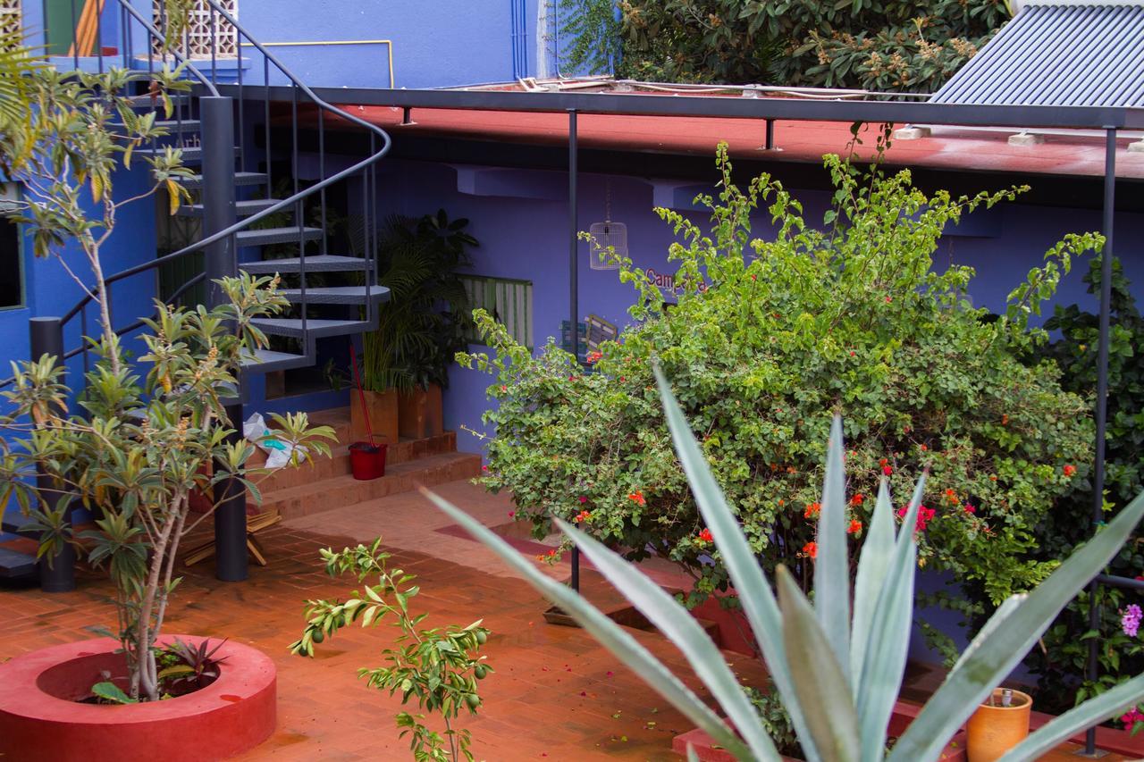 Boca Del Monte By Diablo Y La Sandia B&B Oaxaca Екстериор снимка